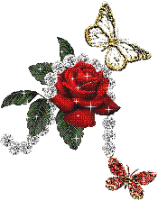 Rose With Butterfly